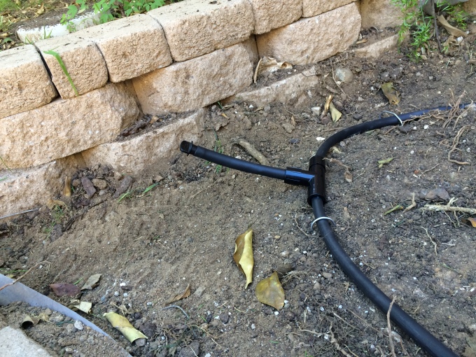 An example of a flush line. Yes, I know what it looks like. It will be covered with mulch, and after I took this picture, I decided to twist it around so it lies flat.